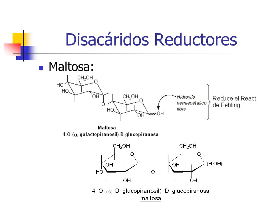 disacaridos reductores